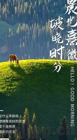 大象传媒18勿进大-大象传媒的边界与探索