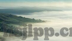 国产区高清视频麻豆-国产区高清视频麻豆，打造高质量视听盛宴，致敬跨界艺术创新者的匠心独运