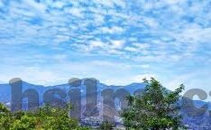 麻豆91原创-揭开网络灰色地带的面纱，麻豆91原创的真相探秘