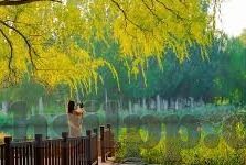 麻豆果冻传媒新剧国产-探索新剧魅力，麻豆果冻传媒的国产剧作新篇