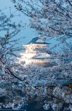 糖心app兑换码2021-解锁甜美，2021糖心app兑换码的神秘之旅
