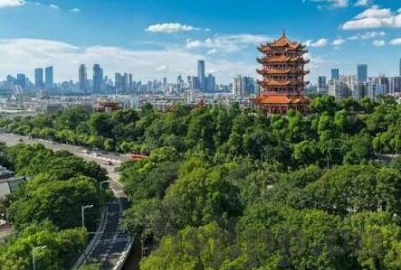 亚洲日韩av在线播放-亚洲日韩影视内容与网络文化现象的多元视角